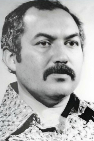 Cover image for Дамир Салимов