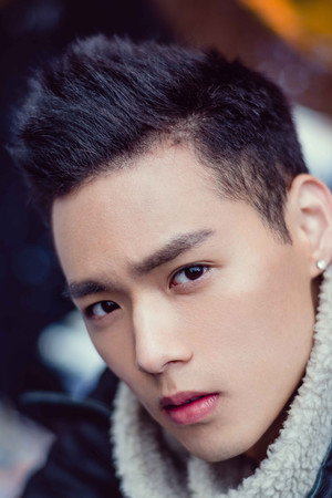 Cover image for 董又霖