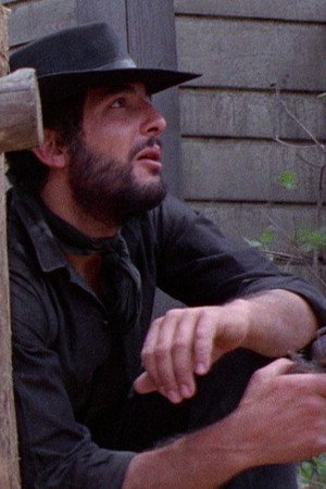 Cover image for Giancarlo Bastianoni