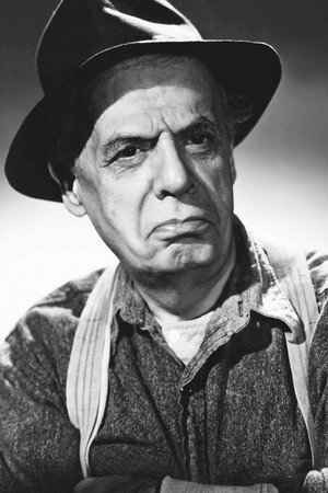 Cover image for Silvio Minciotti