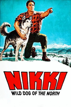 Poster for Дикий пёс Севера