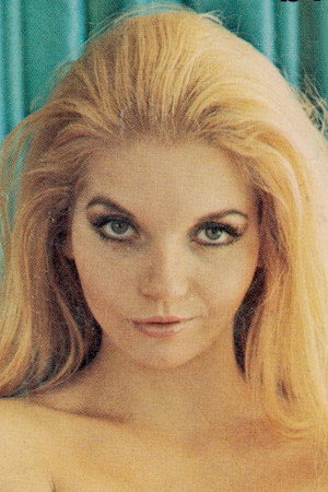 Cover image for Abigail