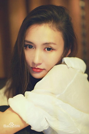 Cover image for Niu Mengmeng