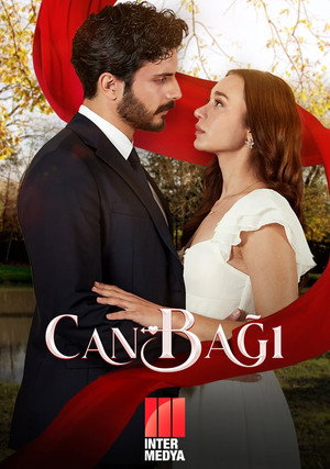 Poster for Сердечные струны