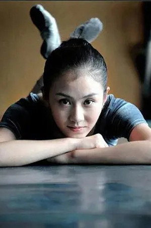 Cover image for Xincong Li