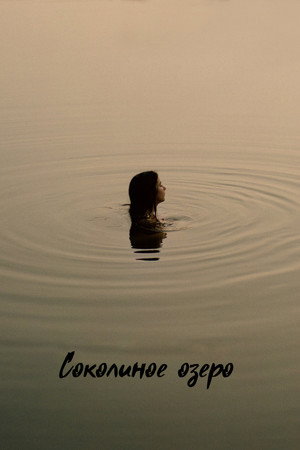 Poster for Соколиное озеро