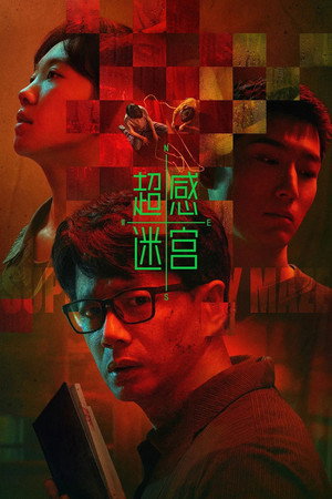 Poster for Сверхсенсорный лабиринт