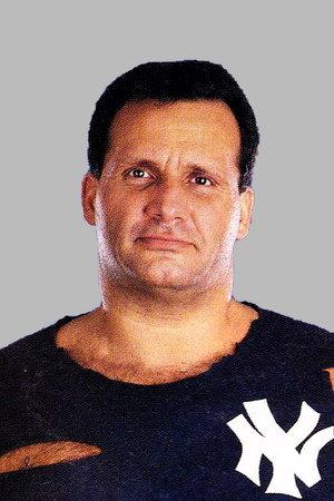 Cover image for Steve Lombardi