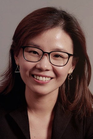 Cover image for Zhu Lin