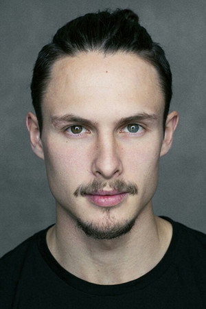Cover image for Arnas Fedaravičius