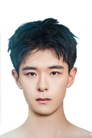 Cover image for Li Gengyou