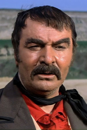 Cover image for Dante Maggio