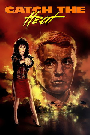 Poster for Лови полицейского