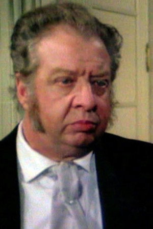 Cover image for Raoul Delfosse
