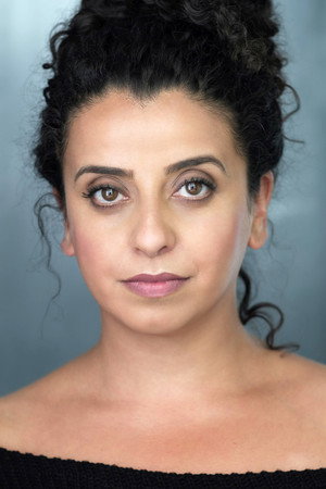 Cover image for Shelley Williams