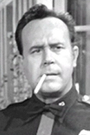 Cover image for Don Shelton