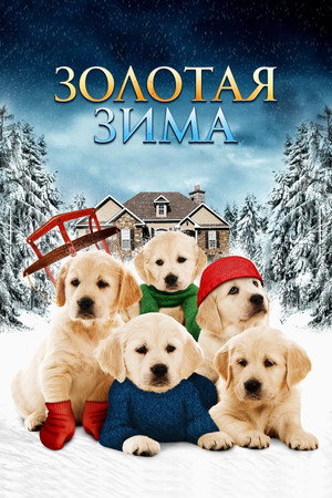 Poster for Золотая зима