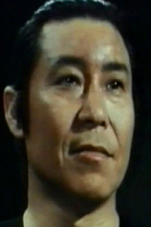 Cover image for Wang Fei