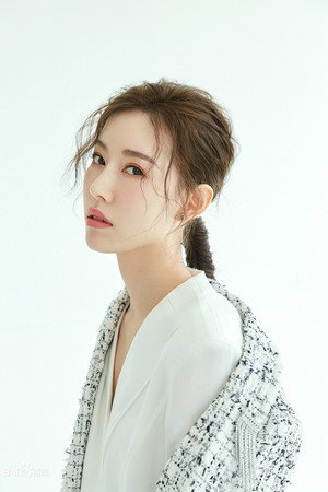 Cover image for Shi Qingyan