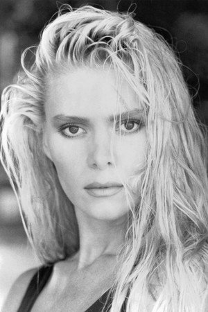 Cover image for Sandra Wild