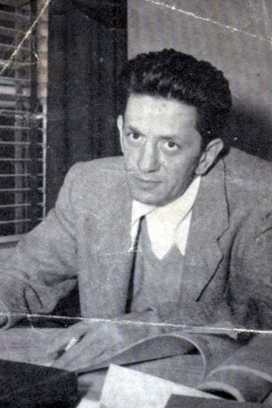 Cover image for Lewis Meltzer