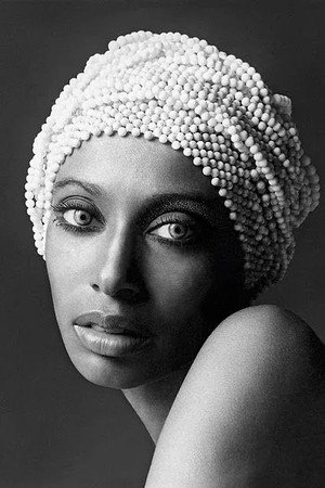Cover image for Donyale Luna