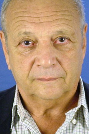 Cover image for Harry Havilio