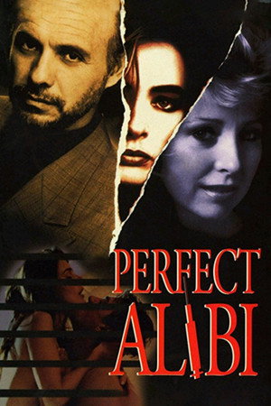 Poster for Идеальное алиби