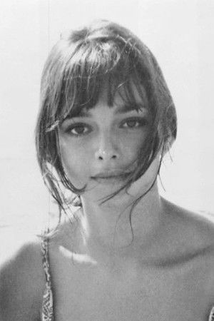 Cover image for Rosemary Dexter