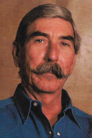 Cover image for Wally Welch