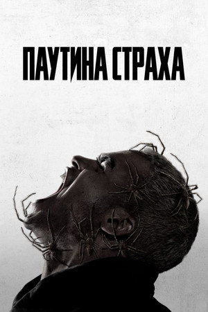 Poster for Паутина страха