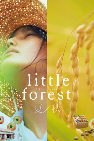 Poster for Небольшой лес: Лето и осень