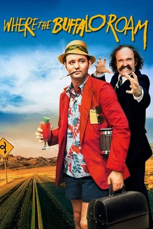 Poster for Там, где бродит бизон