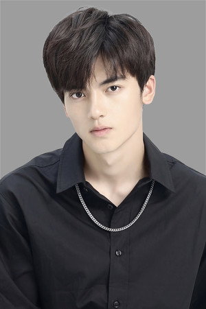Cover image for Liu Zirui