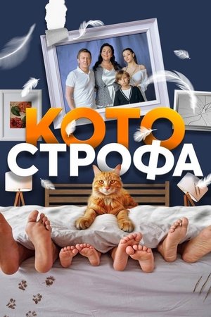 Poster for Котострофа