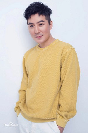 Cover image for Wang Jing