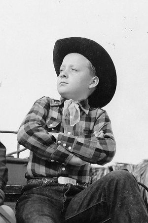 Cover image for Don Stewart