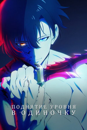 Poster for Solo Leveling