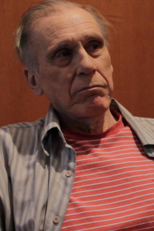 Cover image for Luiz Castellini