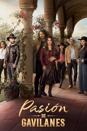 Poster for Pasión de Gavilanes