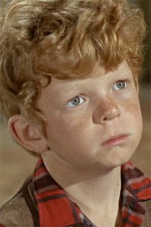 Cover image for Johnny Whitaker