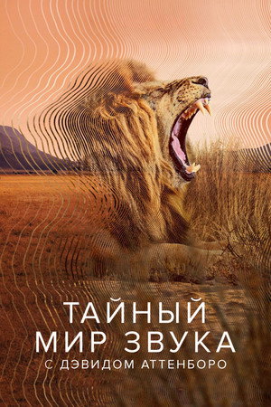 Poster for Secret World of Sound