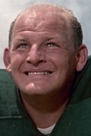 Cover image for Ray Nitschke