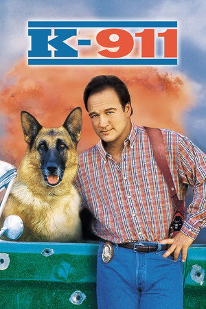 Poster for К-911