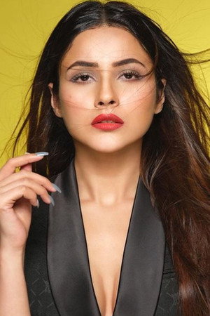 Cover image for Shehnaaz Gill