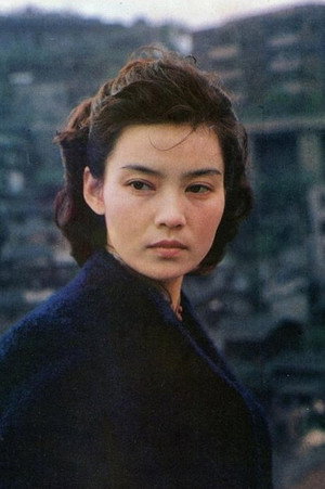Cover image for Pan Hong
