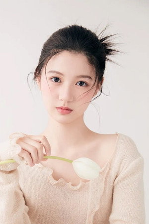 Cover image for Fan Jing Wen