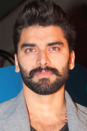 Cover image for Nikitin Dheer