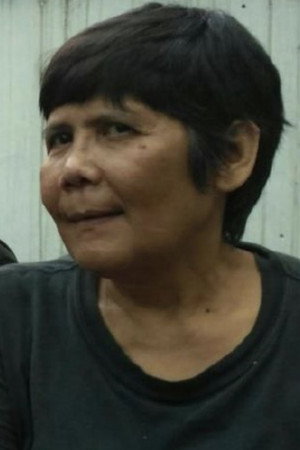 Cover image for Dewi Pakis