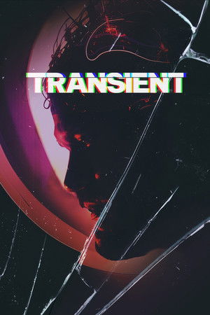 Poster for Переходный процесс